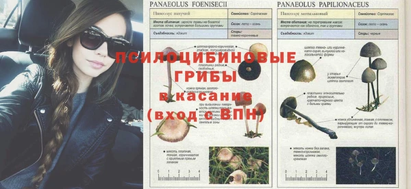 экстази Алексин