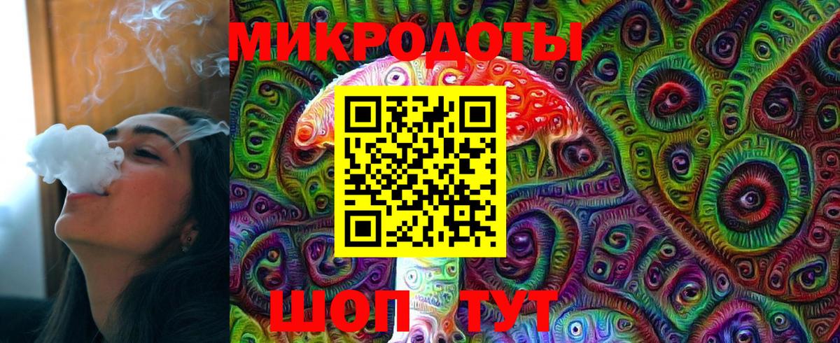 Псилоцибиновые грибы Psilocybine cubensis Кореновск